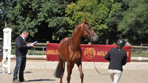 Caractérisation des 3 ans pour le CCE : lancement à Pompadour